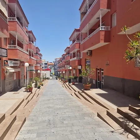 David House * San Isidro (Tenerife)